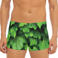Green Ivy Leaf Print Men's Short Boxer Briefs
