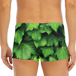 Green Ivy Leaf Print Men's Short Boxer Briefs