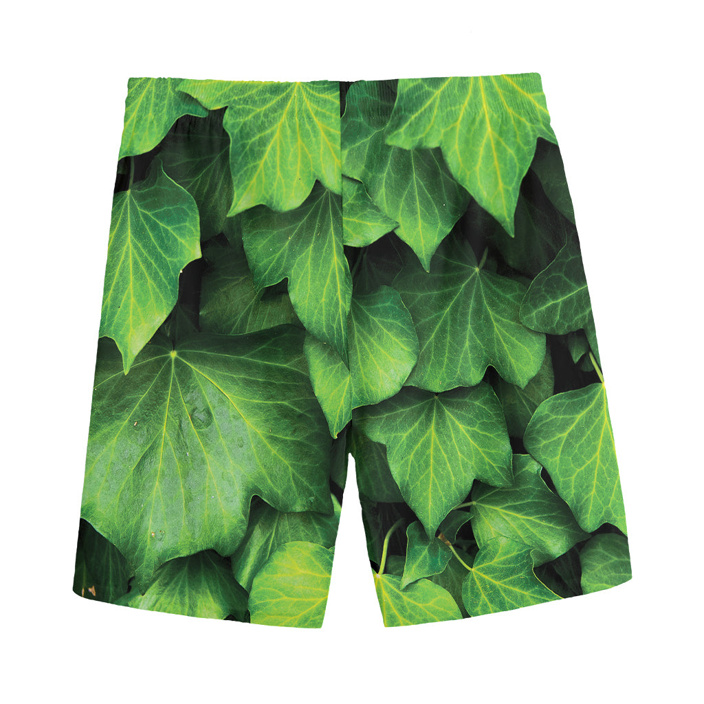 Green Ivy Leaf Print Men's Sports Shorts