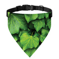 Green Ivy Leaf Print Over The Collar Dog Bandana