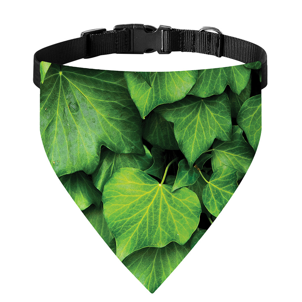 Green Ivy Leaf Print Over The Collar Dog Bandana