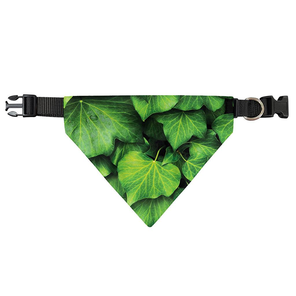 Green Ivy Leaf Print Over The Collar Dog Bandana