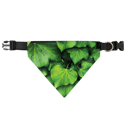 Green Ivy Leaf Print Over The Collar Dog Bandana