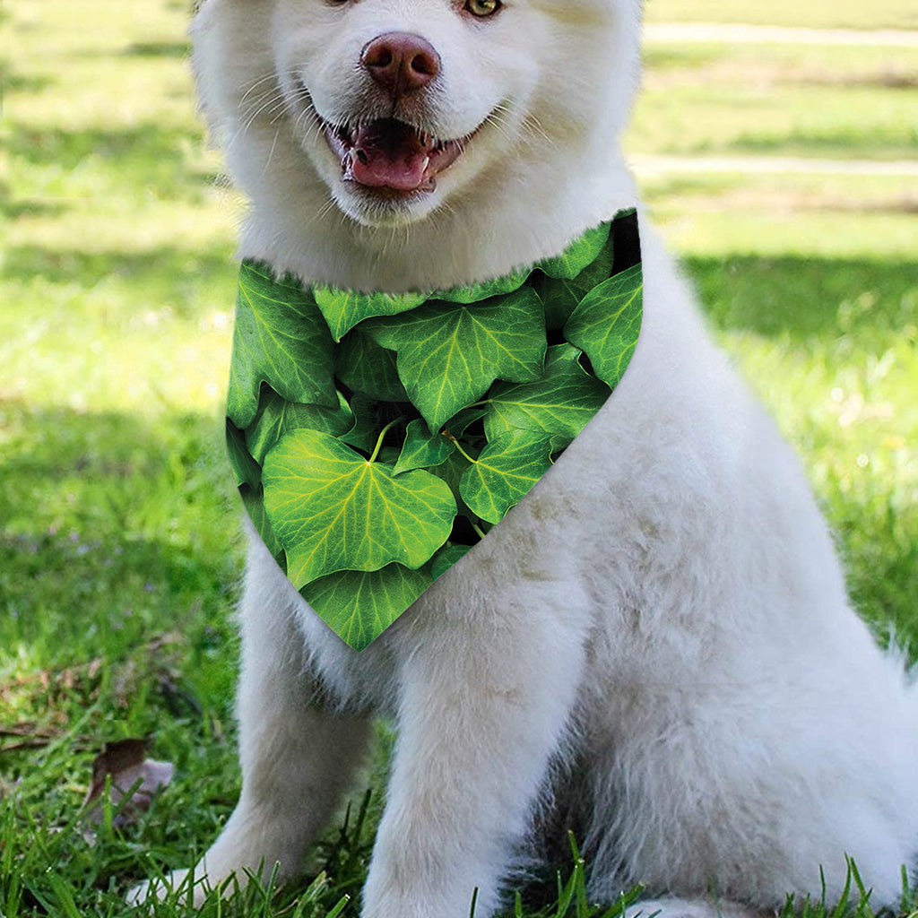 Green Ivy Leaf Print Over The Collar Dog Bandana