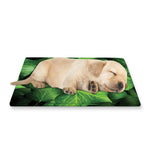 Green Ivy Leaf Print Pet Cooling Mat Cover