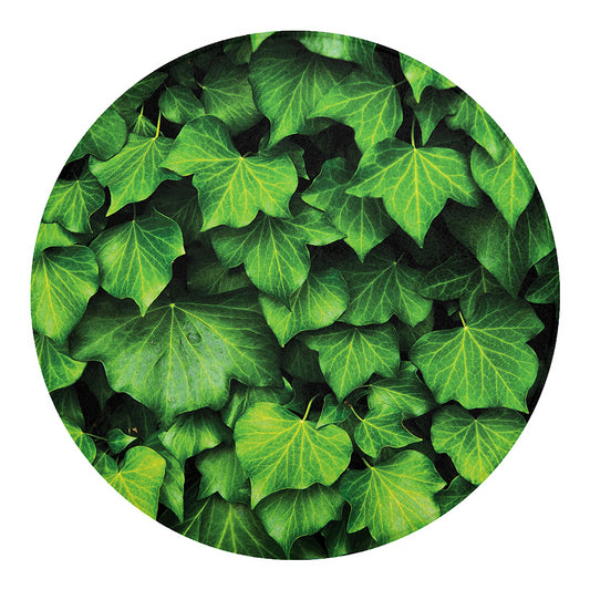 Green Ivy Leaf Print Round Blanket