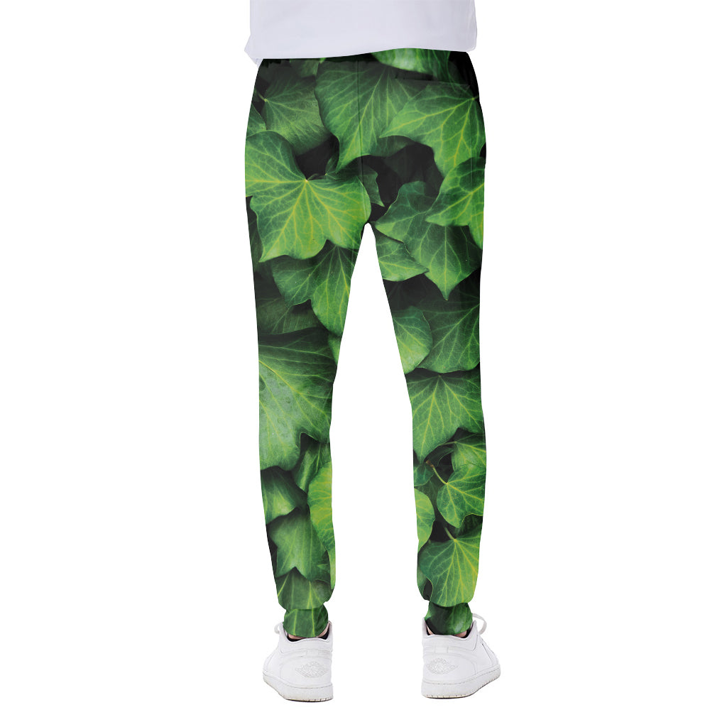 Green Ivy Leaf Print Scuba Joggers