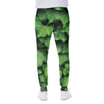 Green Ivy Leaf Print Scuba Joggers