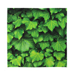 Green Ivy Leaf Print Silk Bandana