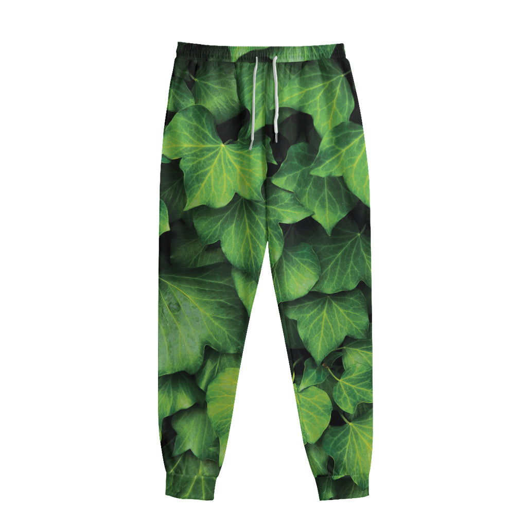 Green Ivy Leaf Print Sweatpants