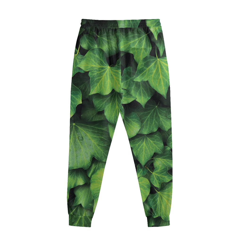 Green Ivy Leaf Print Sweatpants