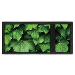 Green Ivy Leaf Print Trifold Wallet