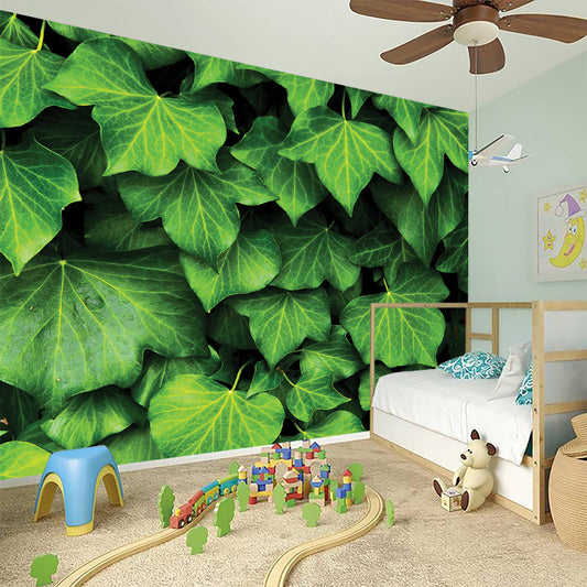 Green Ivy Leaf Print Wall Sticker