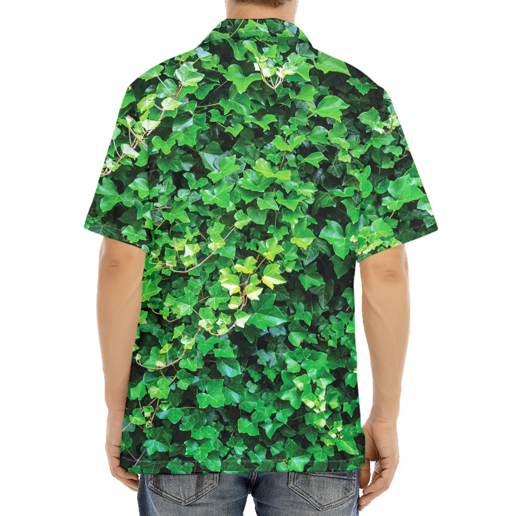 Green Ivy Wall Print Aloha Shirt