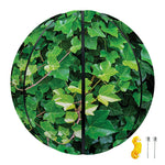 Green Ivy Wall Print Basketball