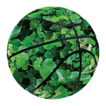 Green Ivy Wall Print Basketball