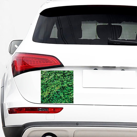 Green Ivy Wall Print Car Sticker