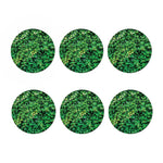 Green Ivy Wall Print Coaster Set