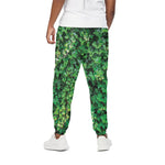Green Ivy Wall Print Cotton Pants