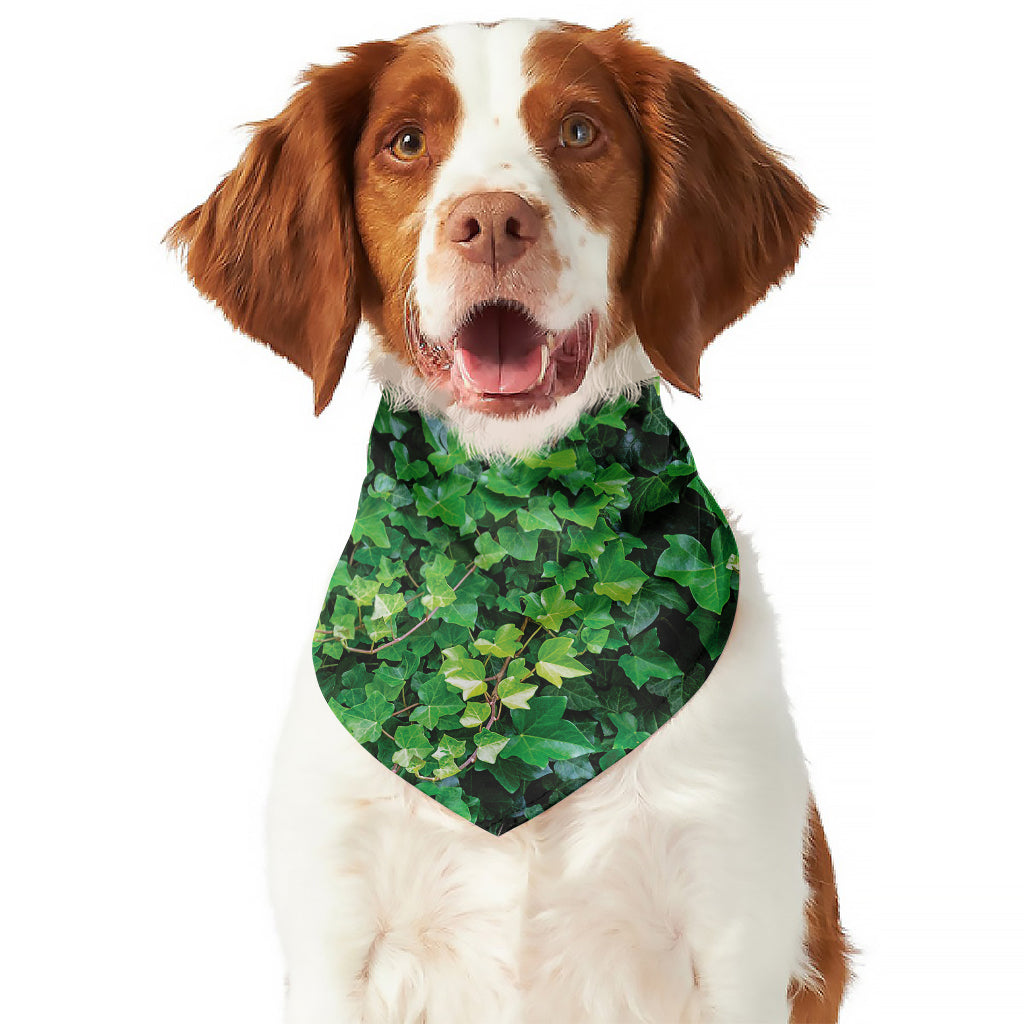 Green Ivy Wall Print Dog Bandana