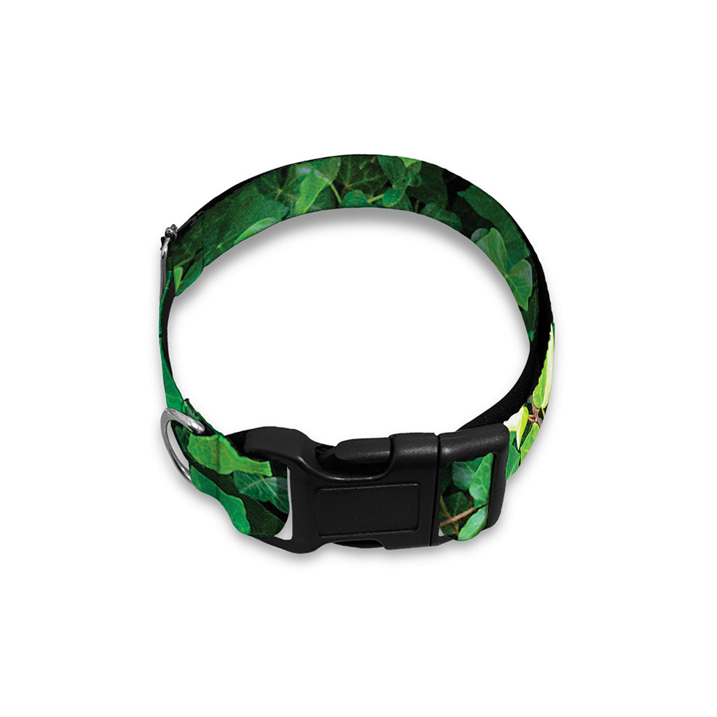 Green Ivy Wall Print Dog Collar