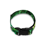 Green Ivy Wall Print Dog Collar