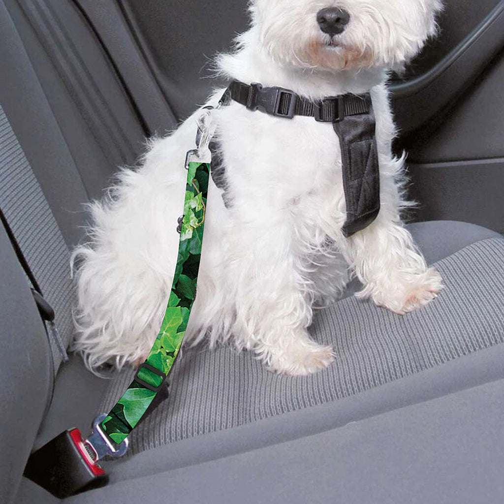 Green Ivy Wall Print Dog Seat Belt