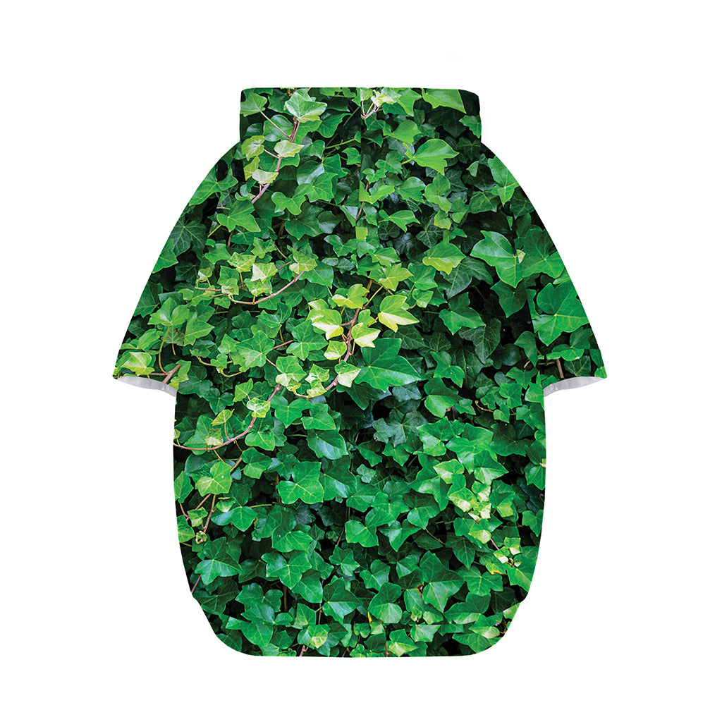 Green Ivy Wall Print Dog Zip Up Hoodie