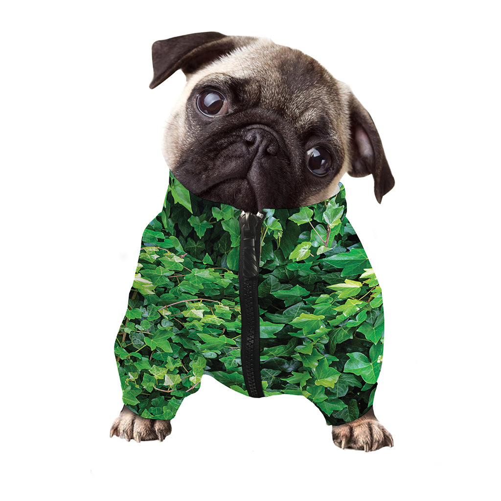 Green Ivy Wall Print Dog Zip Up Jacket