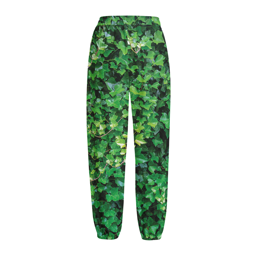 Green Ivy Wall Print Fleece Lined Knit Pants