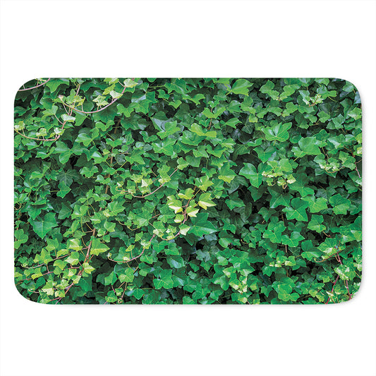 Green Ivy Wall Print Indoor Door Mat