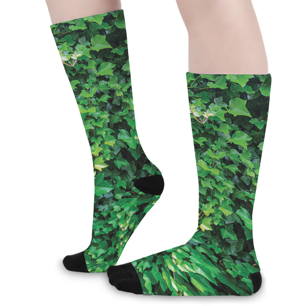 Green Ivy Wall Print Long Socks