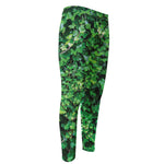 Green Ivy Wall Print Men's Compression Pants