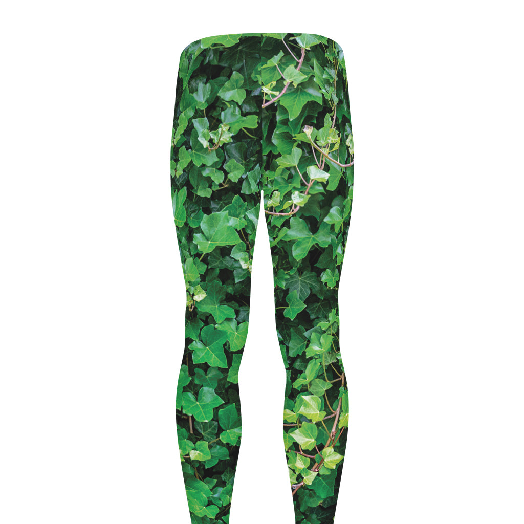Green Ivy Wall Print Men's leggings