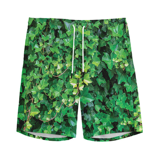 Green Ivy Wall Print Men's Sports Shorts