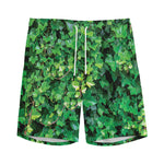 Green Ivy Wall Print Men's Sports Shorts