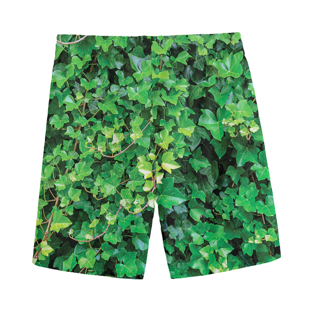 Green Ivy Wall Print Men's Sports Shorts