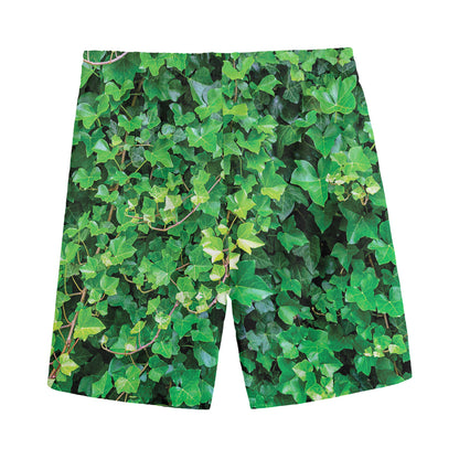 Green Ivy Wall Print Men's Sports Shorts