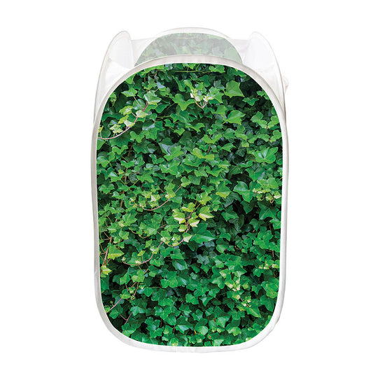 Green Ivy Wall Print Mesh Laundry Hamper