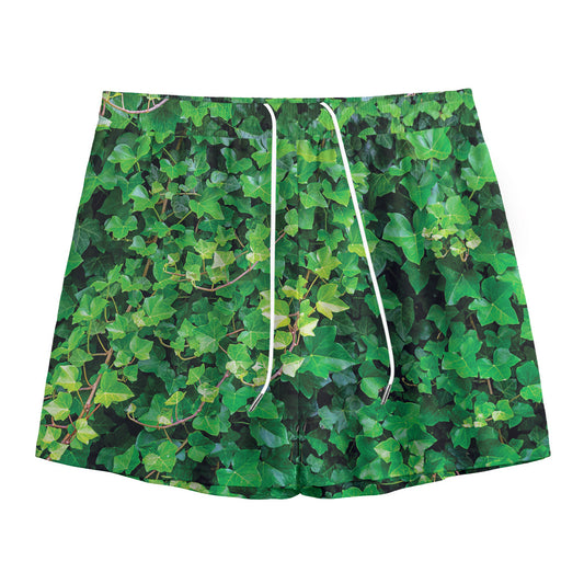 Green Ivy Wall Print Mesh Shorts