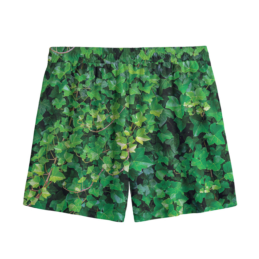 Green Ivy Wall Print Mesh Shorts
