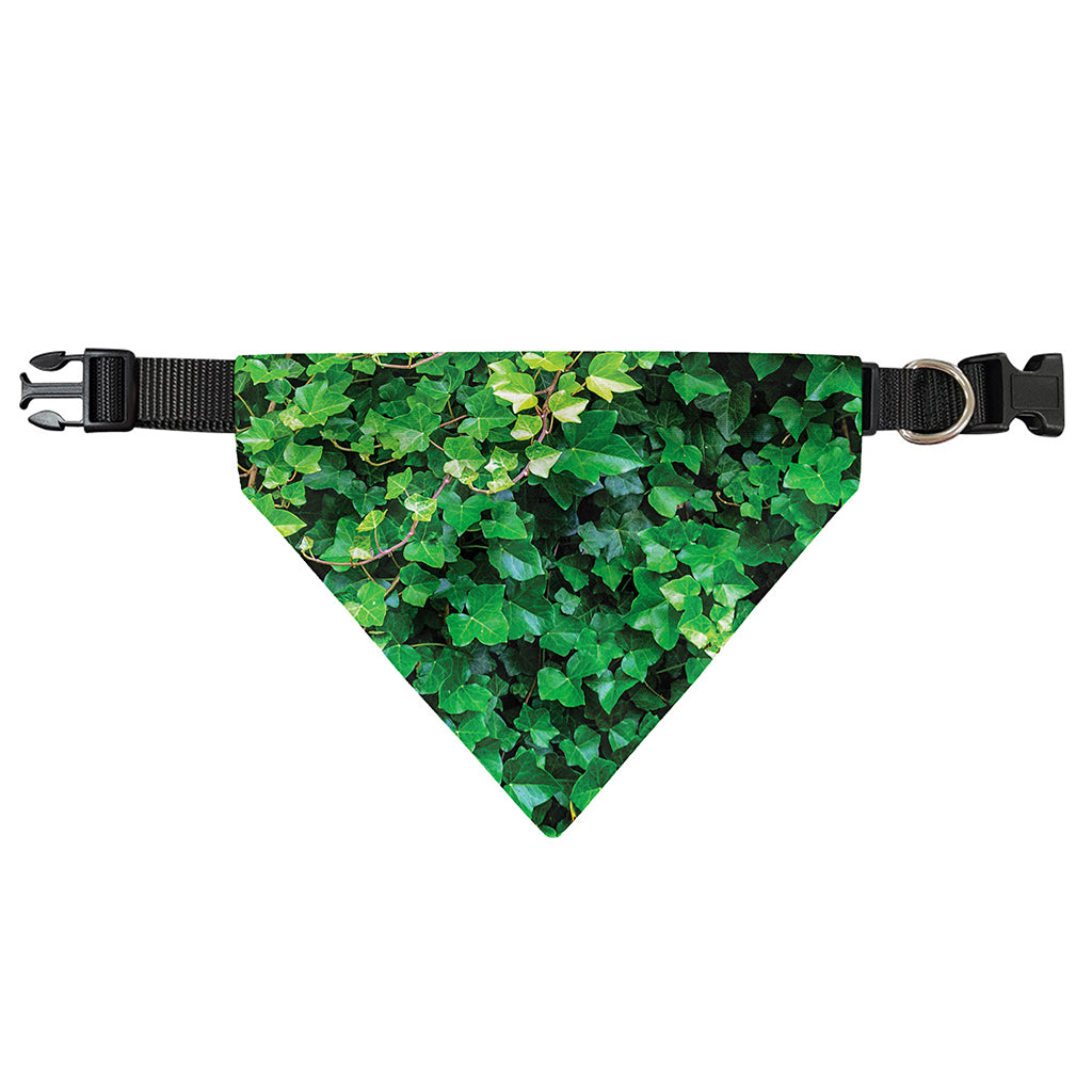 Green Ivy Wall Print Over The Collar Dog Bandana