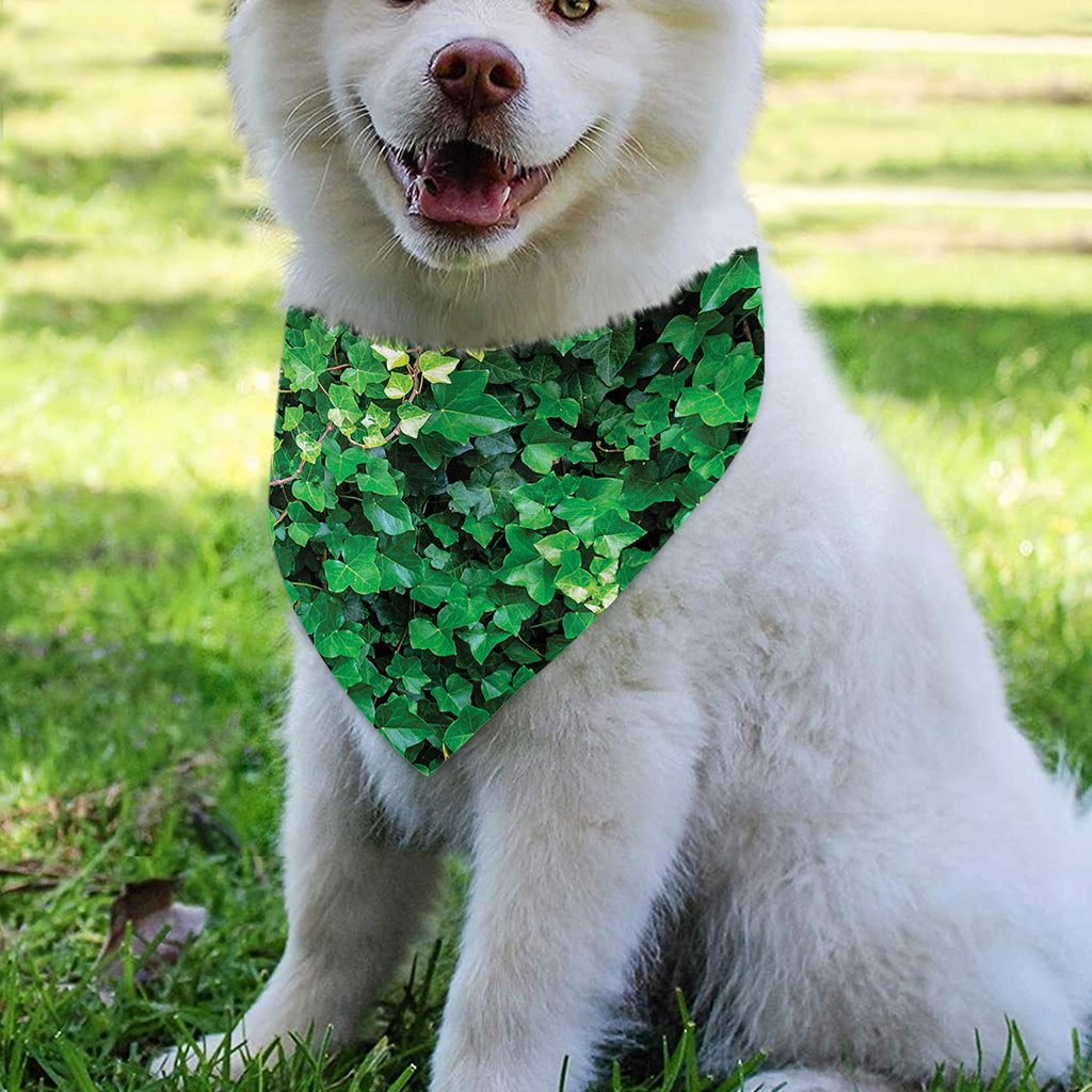 Green Ivy Wall Print Over The Collar Dog Bandana