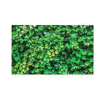 Green Ivy Wall Print Polyester Flag