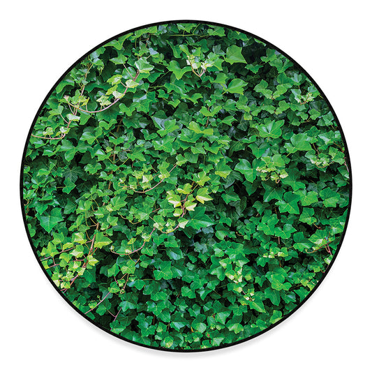 Green Ivy Wall Print Round Floor Mat