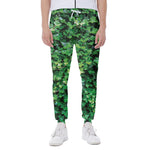 Green Ivy Wall Print Scuba Joggers