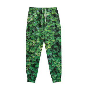 Green Ivy Wall Print Sweatpants