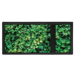 Green Ivy Wall Print Trifold Wallet