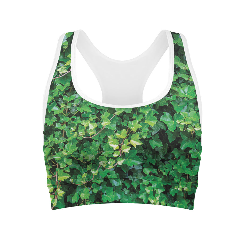 Green Ivy Wall Print Women's Sports Bra