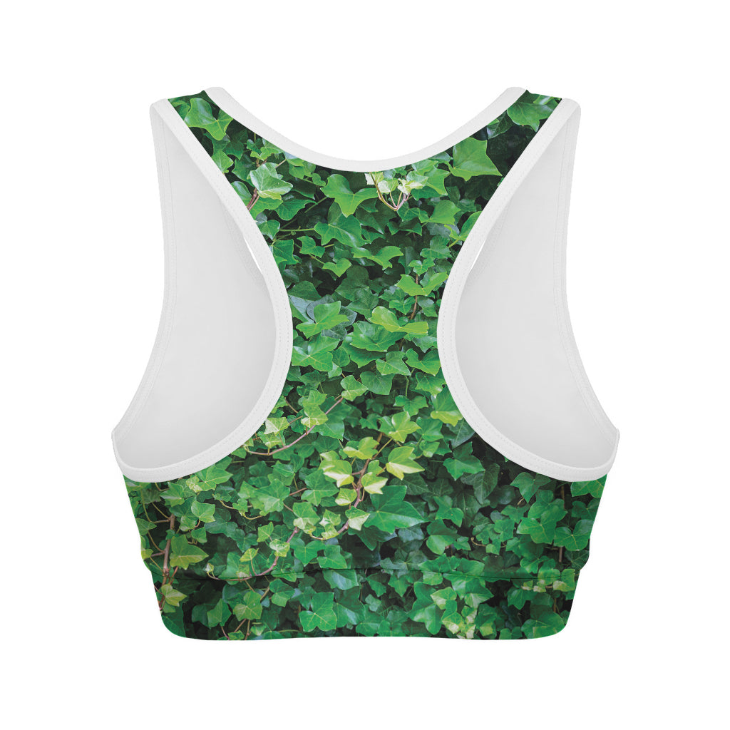 Green Ivy Wall Print Women's Sports Bra